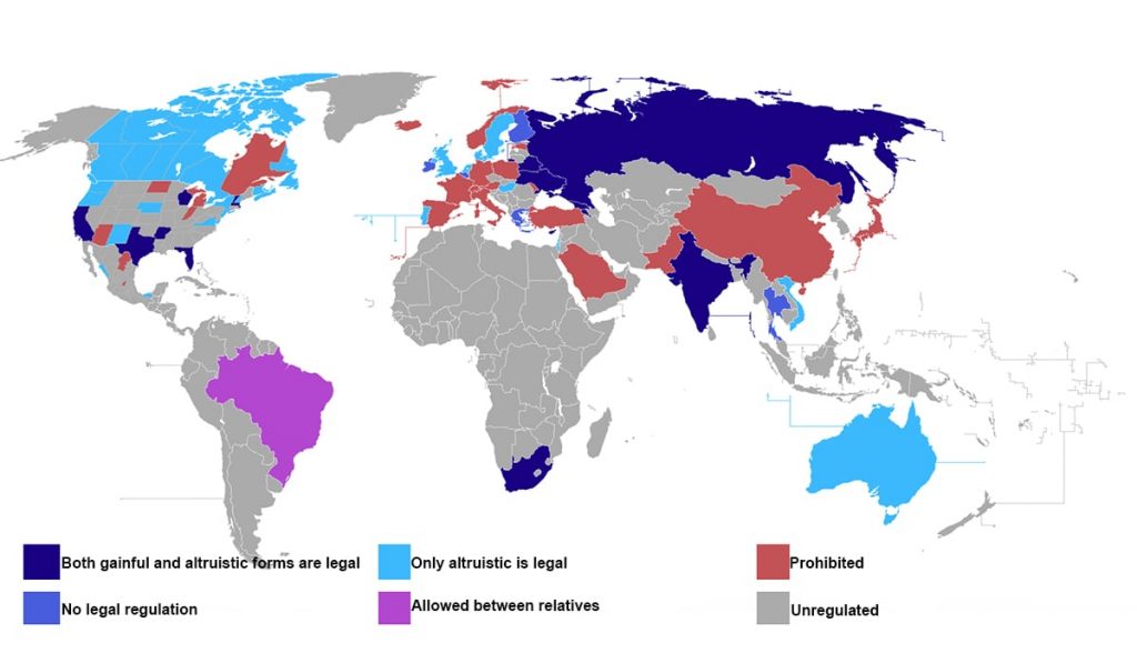 mapa świata przepisów dotyczących macierzyństwa zastępczego